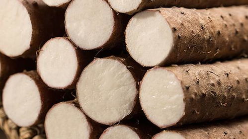 出伏了 但秋天還沒來 這些養(yǎng)生知識(shí)你應(yīng)該知道